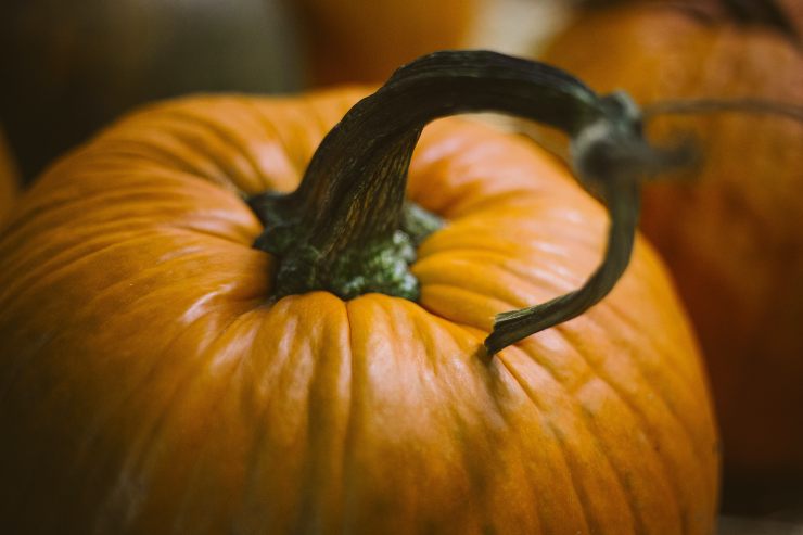 Film su Cielo per Halloween