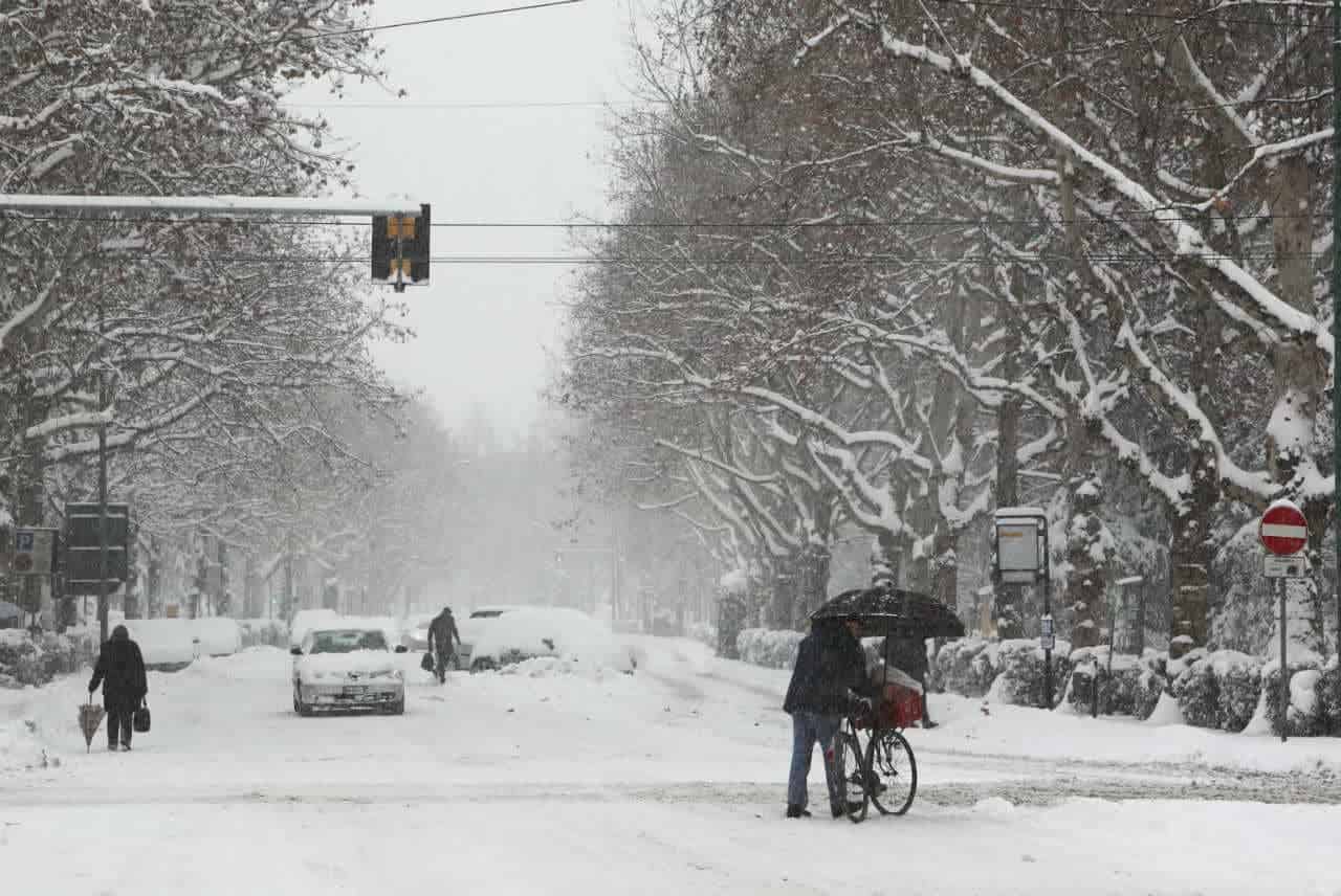 freddo neve cittò