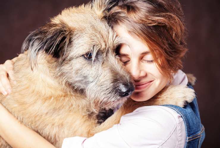 Abbracciare il cane-cose che a lui non piacciono-SoloNotizie24.it Abbracciare il cane-cose da non fare-SoloNotizie24.it