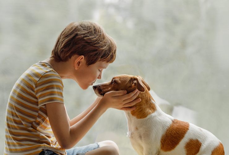 Guardare fisso il cane negli occhi-Cose da non fare-SoloNotizie24.it Guardare fisso il cane negli occhi-SoloNotizie24.it