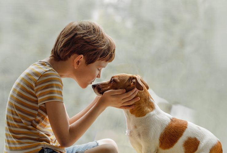 Guardare fisso il cane negli occhi-SoloNotizie24.it