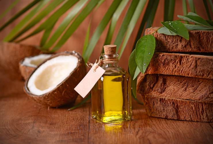 Olio di cocco per capelli danneggiati-SoloNotizie24.it