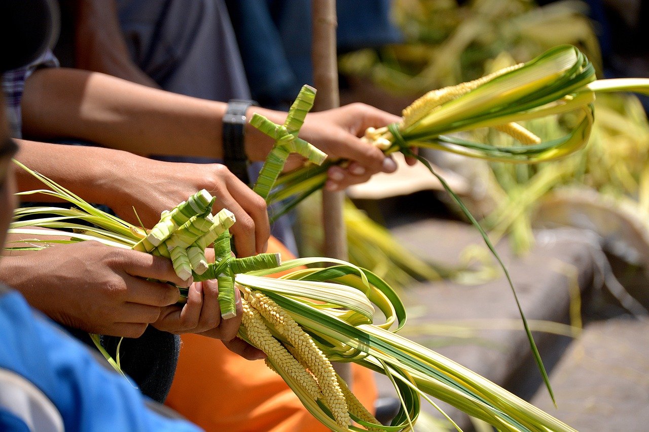 significato Domenica delle Palme ulivo