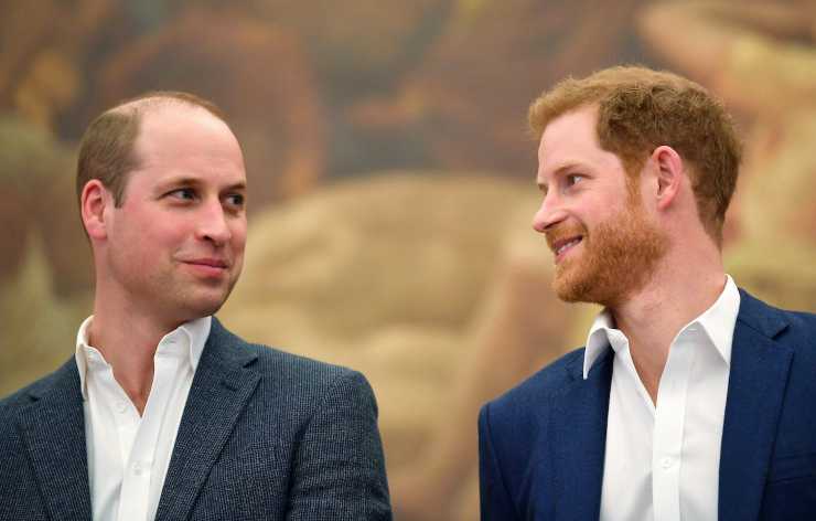 Harry e William - Solonotizie24