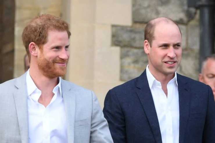 Harry e William - Solonotizie24