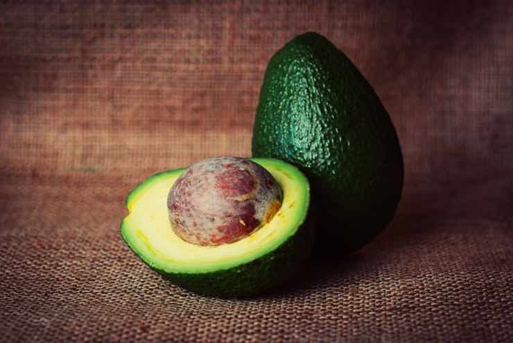 nocciolo di avocado