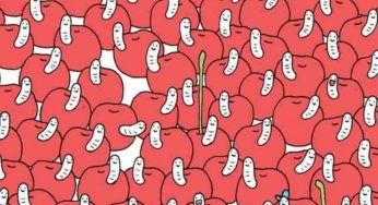Test visivo difficile trova la ciliegia senza il verme: quasi nessuno ci riesce