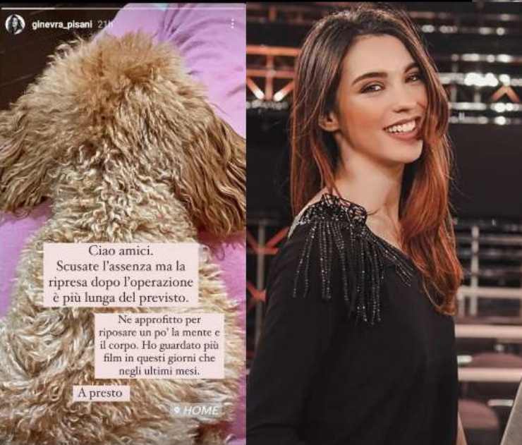 Gossip Totti Blasi Barbara D'Urso Ginevra Pisani - Solonotozie24