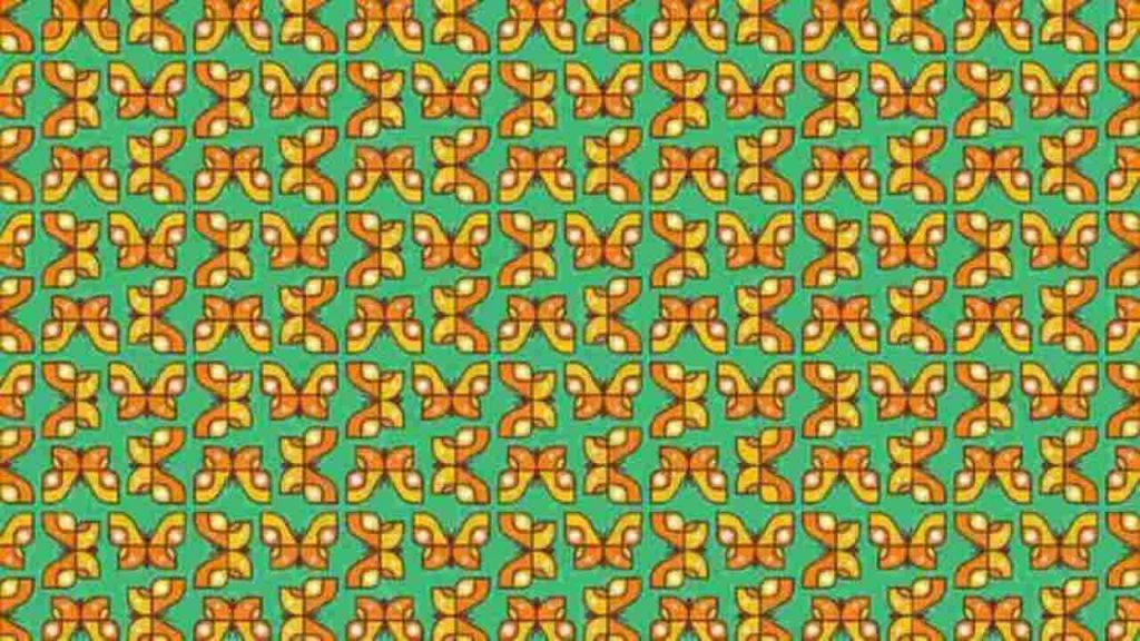 Test visivo delle farfalle trovate le uniche due diverse da tutte le altre