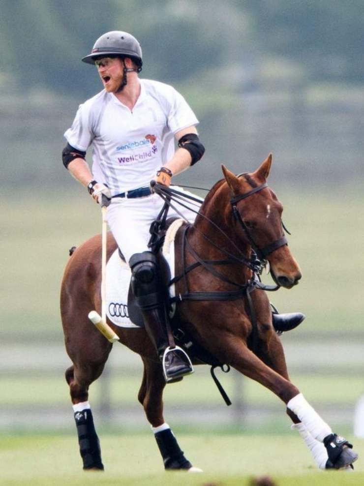 harry solonotizie polo