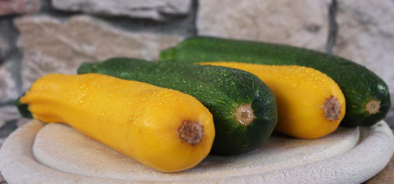 Zucchine solonotizie 