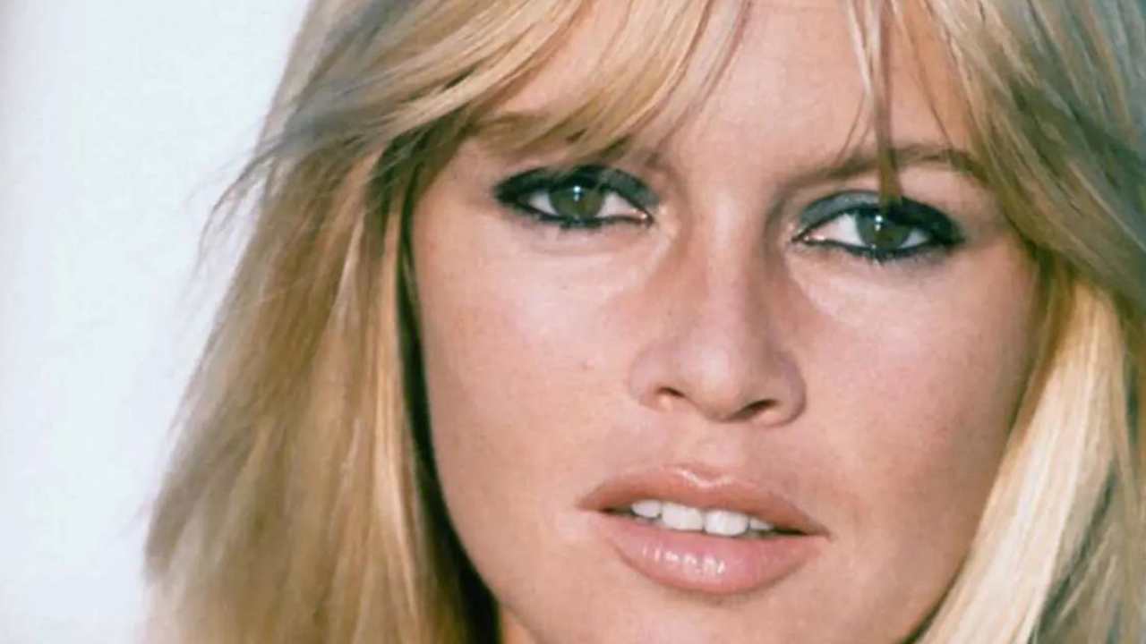 brigitte bardot