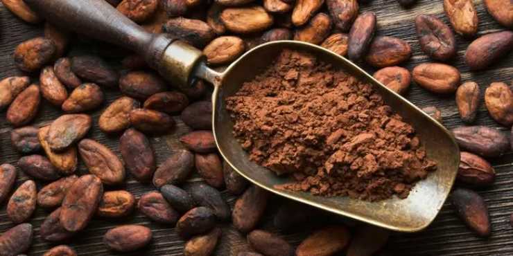 cacao proprietà