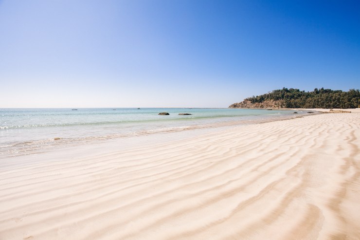 Spiaggia invasa dai crostacei